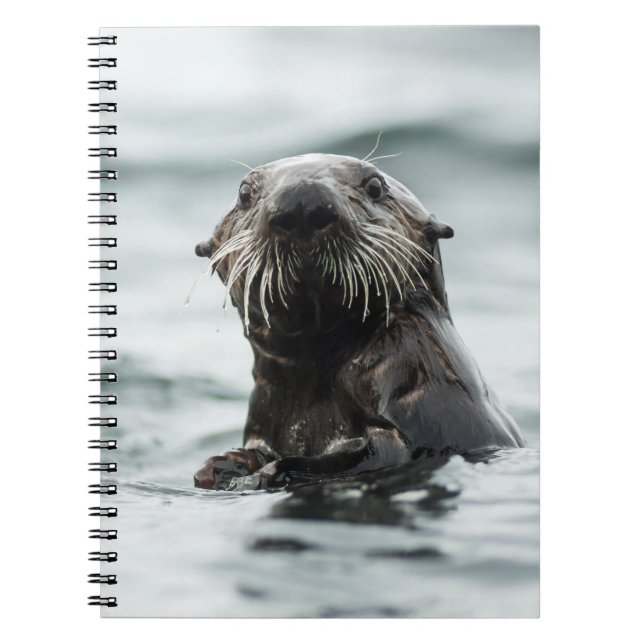 Wise Otter Anteckningsbok (Framsidan)