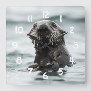 Wise Otter Fyrkantig Klocka