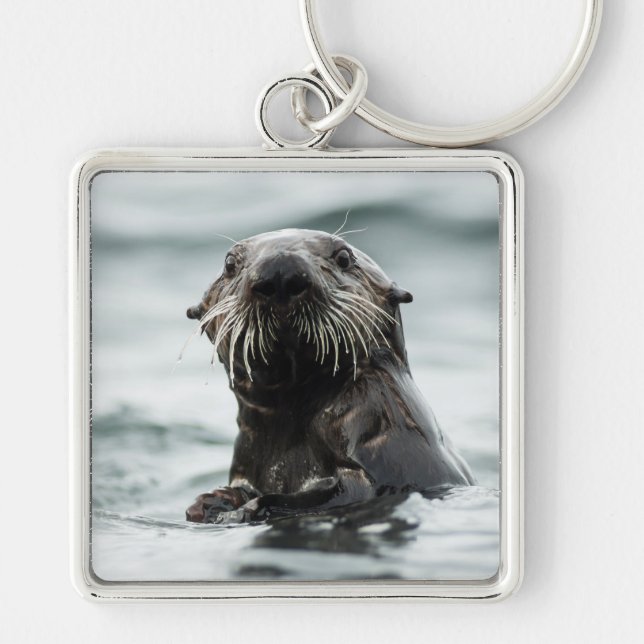 Wise Otter Fyrkantig Silverfärgad Nyckelring (Framsidan)