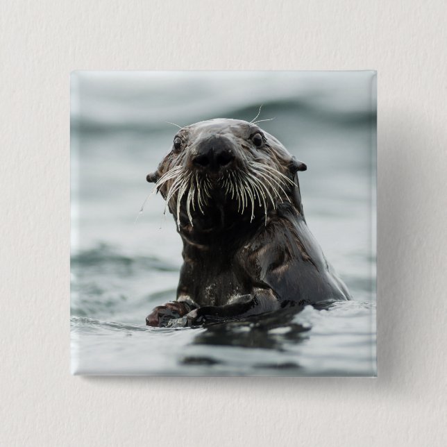 Wise Otter Knapp (Framsida)