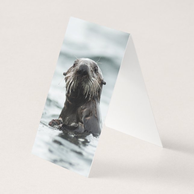 Wise Otter Kort (Baksida)