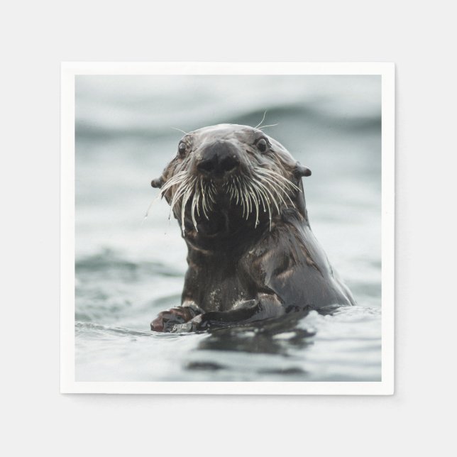Wise Otter Pappersservett (Framsidan)
