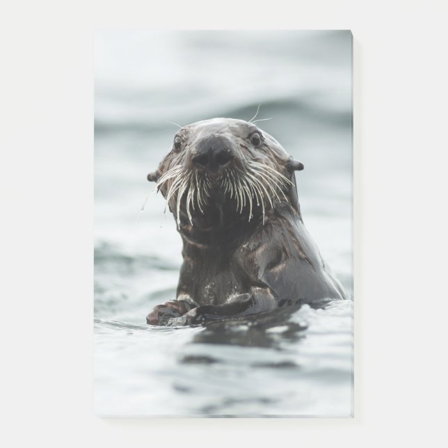 Wise Otter Post-it Block (Framsida)