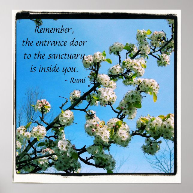 Wise Quotes Vår Blommigt Poster (Framsidan)