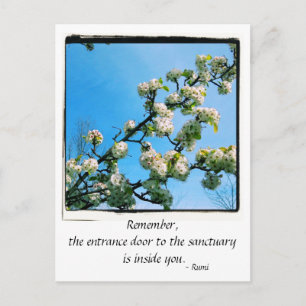Wise Quotes Vår Blommigt Vykort