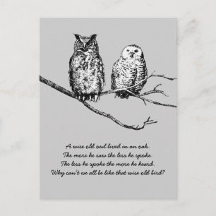 Wise Uggla Wisdom-vykort Vykort