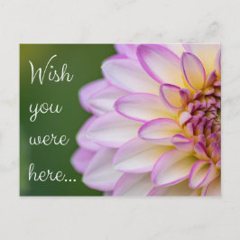 Wish you were here... vykort