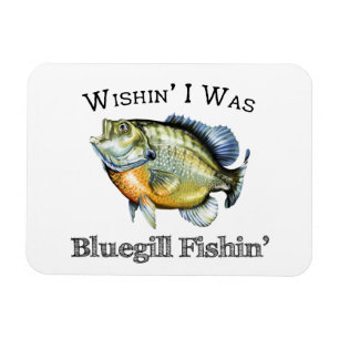 Wishin I var bläckfisken Magnet