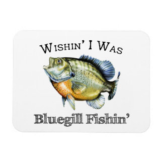 Wishin I var bläckfisken Magnet
