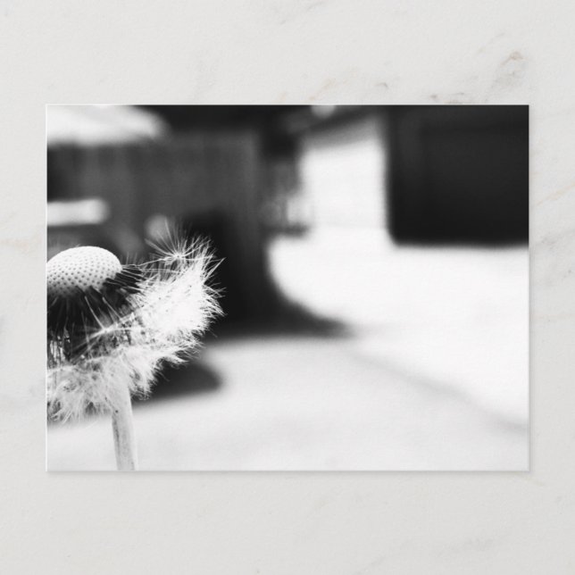 Wishing 2 vykort (Framsida)