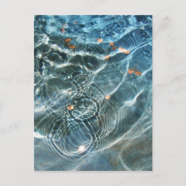 Wishing Fontän Vykort (Framsida)