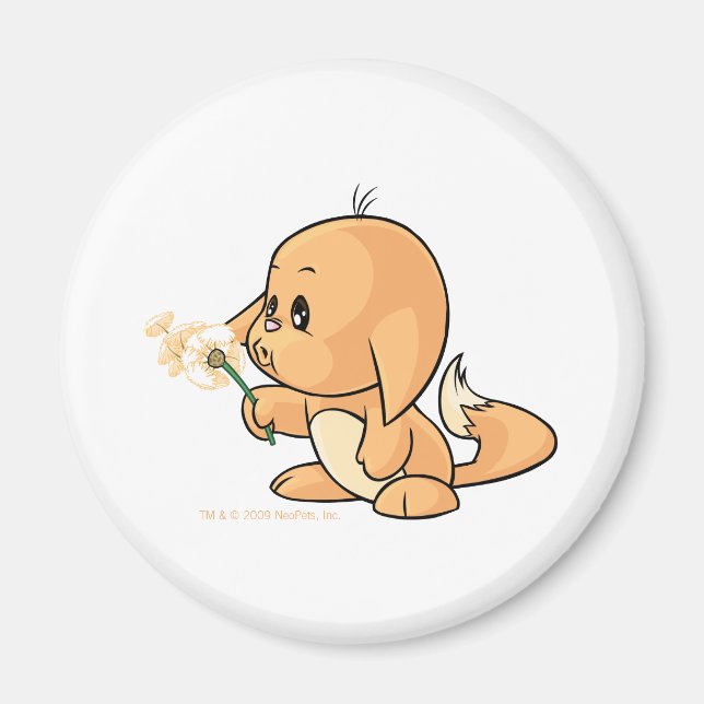 Wishing orange Kacheek Magnet (Framsidan)