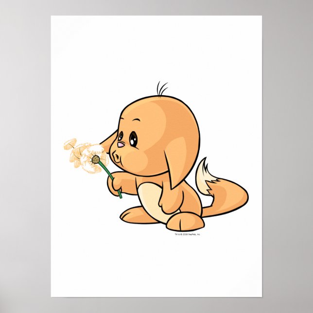 Wishing orange Kacheek Poster (Framsidan)