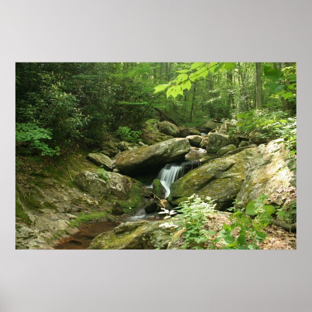 Wispering Falls Poster (Framsidan)