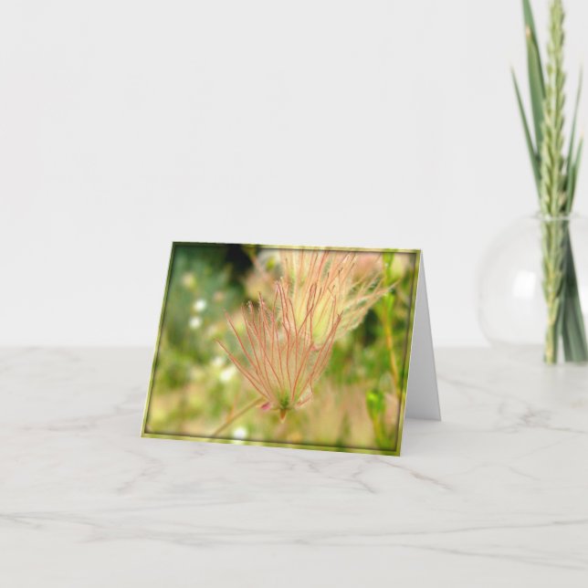 Wispy rosablomma - blom- Notecard Tack Kort (Framsida)