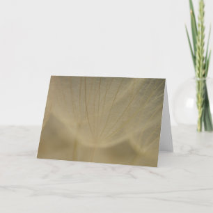 Wispy vitblomma kort