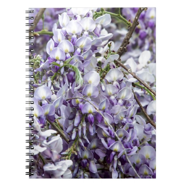Wisteria Anteckningsbok Med Spiral (Framsidan)