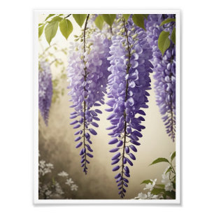 Wisteria-blomman Poster väggdekan