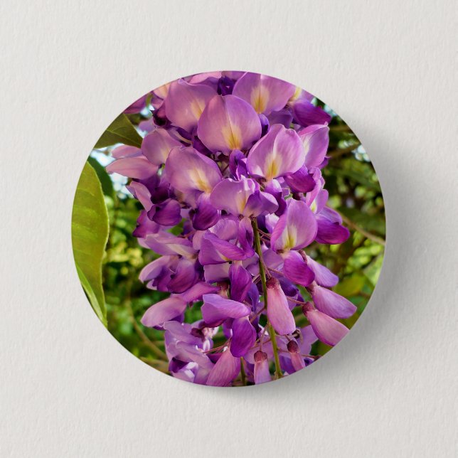 Wisteria Bloom Badge Knapp (Framsida)