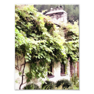 WISTERIA COTTAGE FOTOTRYCK