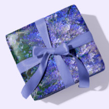 Wisteria Flowers Lila + Lavender