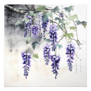 Wisteria Flowers Nature Fototryck