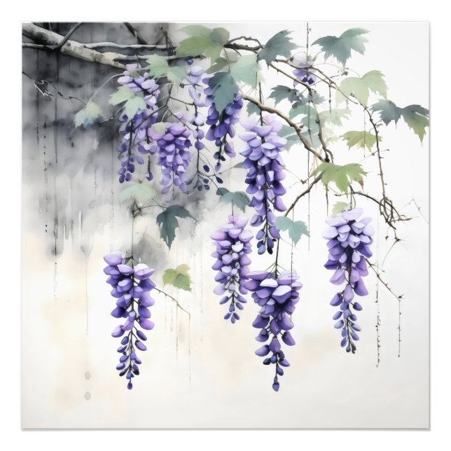 Wisteria Flowers Nature Fototryck (Framsidan)