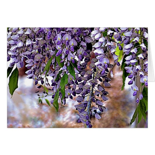 Wisteria Hälsningskort (Framsidan Horizontal)