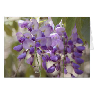 Wisteria Hälsningskort
