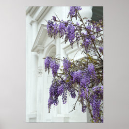 Wisteria, historiskt hus Charleston South Carolina Poster