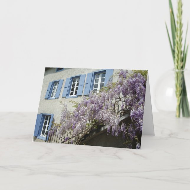 Wisteria i blom helgkort (Framsida)