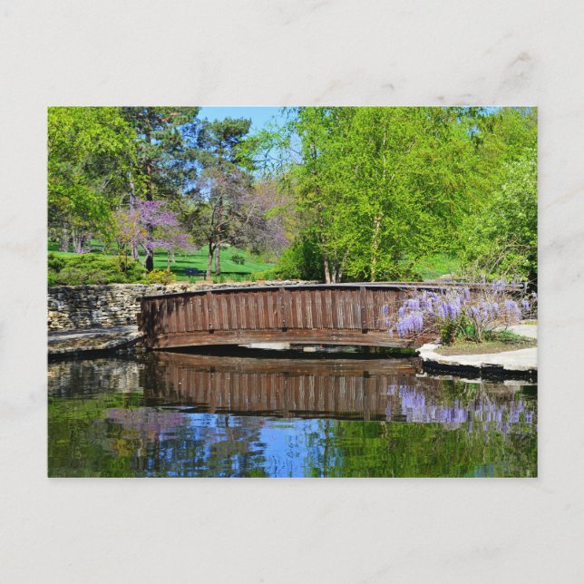 Wisteria i Bloom vid Loose Park i Kansas City Vykort (Framsida)