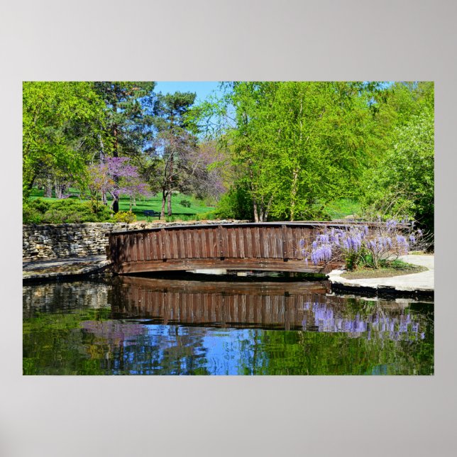 Wisteria in Bloom at Loose Park Bridge Poster (Framsidan)