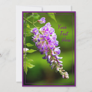 Wisteria Kort