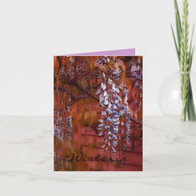 Wisteria Kort (Framsida)