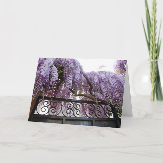 Wisteria Kort (Framsida)