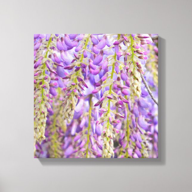 Wisteria Lila Blommigt Blommar Träd Violet Canvastryck (Framsida)