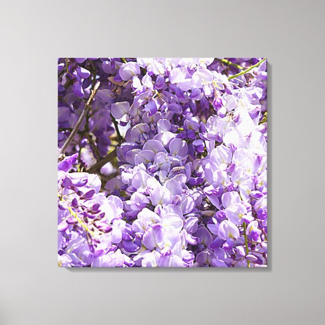 Wisteria Lila Blommigt Blommar Träd Violet Canvastryck (Framsida)