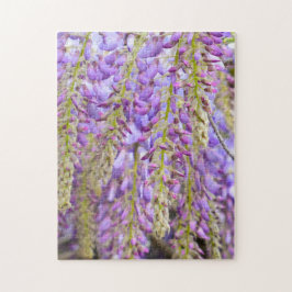 Wisteria Lila Blommigt Blommar Träd Violet Pussel
