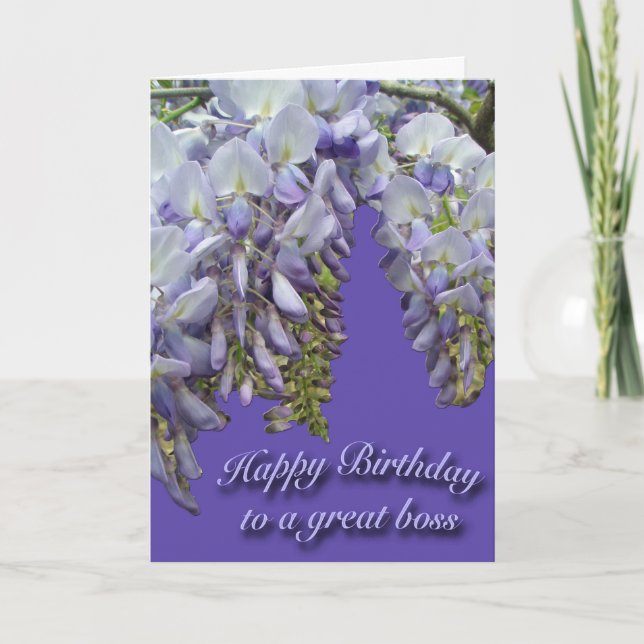 Wisteria Lila Chef Grattis på födelsedagen Card Kort (Framsida)