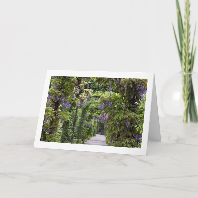 Wisteria-mappat blankkort för Hälsning Kort (Framsida)