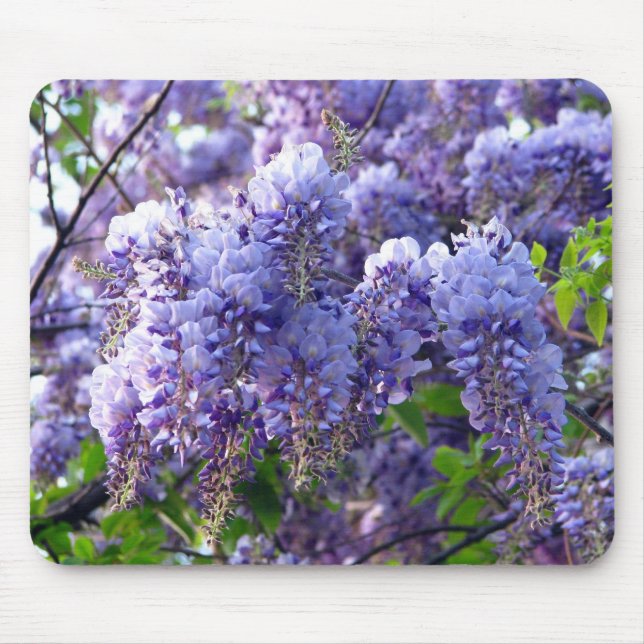 Wisteria Mosepad Musmatta (Framsidan)