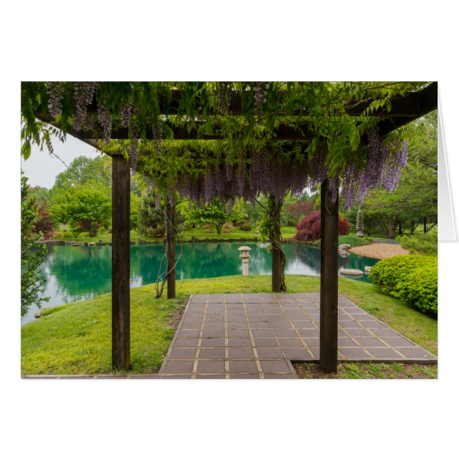 Wisteria OBS Kort (Framsidan Horizontal)