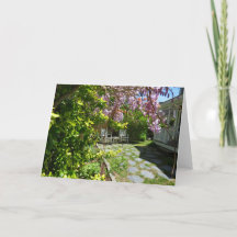 Wisteria och Rocking Chairs - Martha's Vineyard