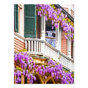 Wisteria på ett sydligt hem för vintage i Savann Fototryck