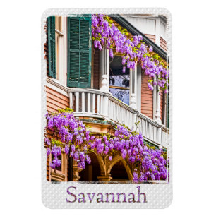 Wisteria på ett sydligt hem för vintage i Savann Magnet