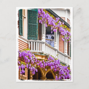 Wisteria på ett sydligt Vintage hem i Savannah Vykort