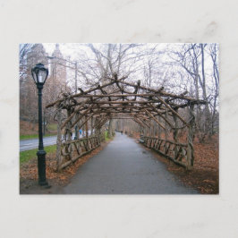 Wisteria Pergola New York City Central Park NYC Vykort
