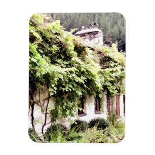WISTERIA STUGA MAGNET