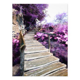wisteria trappor fototryck